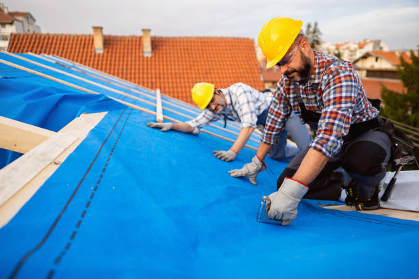 Best Roof Inspection  in Douglas, MI